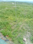 IMG-20210613-WA0054.jpg