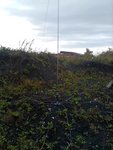 IMG-20211003-WA0017.jpg