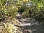 IMG-20231009-WA0003.jpg